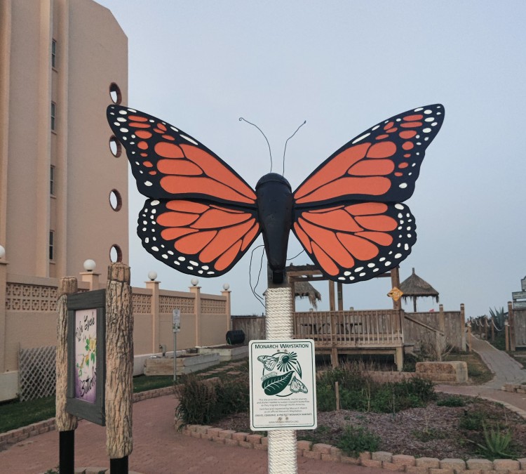 butterfly-park-photo